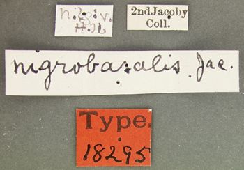 Media type: image; Entomology 18295   Aspect: labels